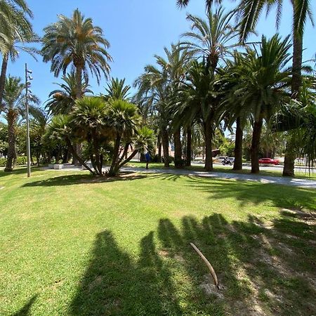 Tropical Loft Apartamento Alicante Exterior foto